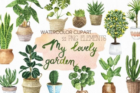 Download Watercolor House Plants Clipart. - Plant Collection